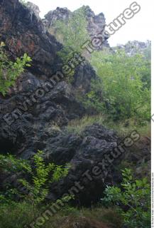 overgrown cliff