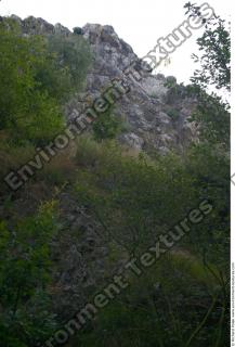 overgrown cliff