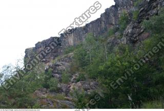 overgrown cliff