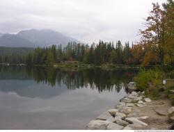 Background Forests