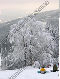 Photo Textures of Background Nature Winter