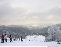 background winter nature