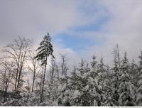 background winter nature