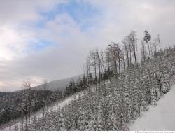 Photo Textures of Background Nature Winter