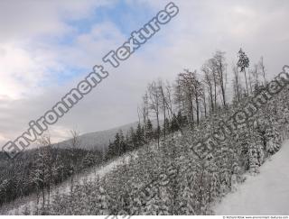 background winter nature