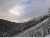 background winter nature