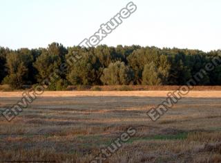 background summer nature