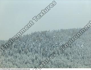 background nature winter