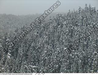 background nature winter