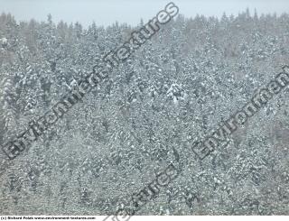 background nature winter