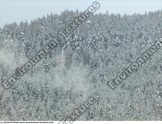 background nature winter