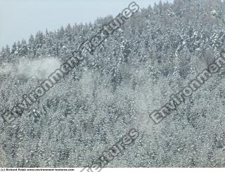 background nature winter