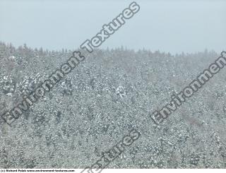 background nature winter