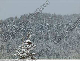 background nature winter