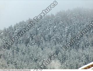 background nature winter