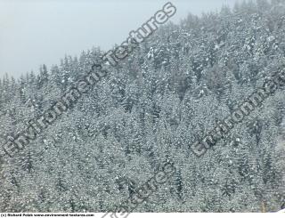 background nature winter