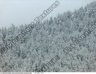 background nature winter