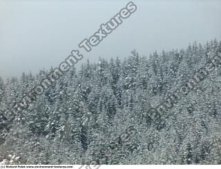 background nature winter