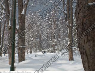 Photo Textures of Background Nature Winter