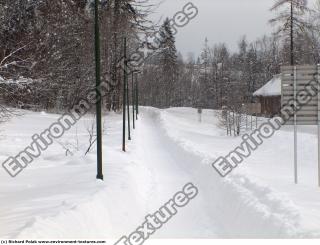 background nature winter