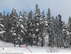 Photo Textures of Background Nature Winter