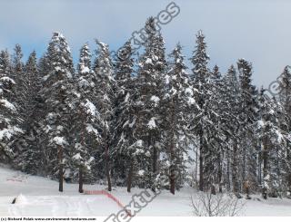 background nature winter