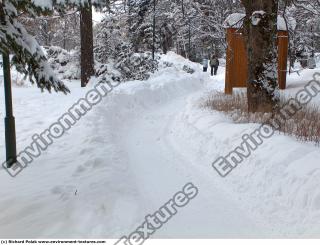 background nature winter