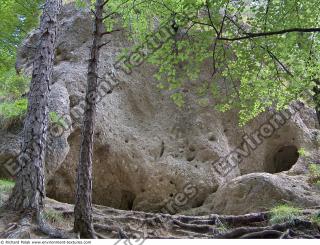 Photo reference of Background Forest 