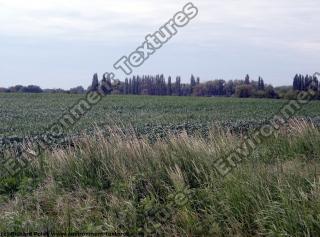 Photo Textures of Background Nature