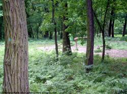 Background Forests