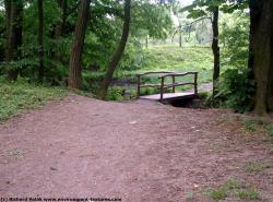 Background Forests