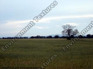 background field