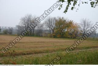 background nature autumn