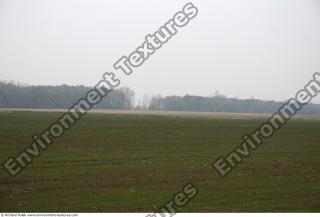 background nature autumn