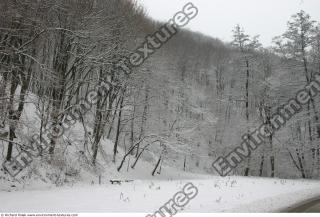 background nature winter