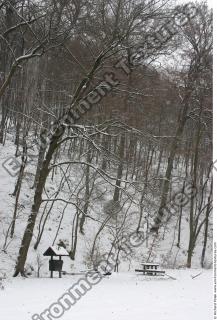 background nature winter