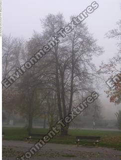 background park autumn