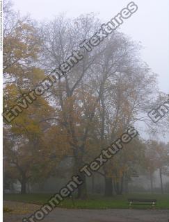 background park autumn