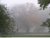 background park autumn