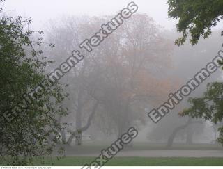 background park autumn