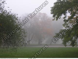 background park autumn