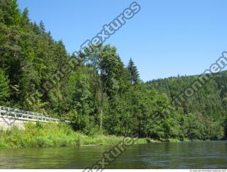 Photo Reference of Background Forest