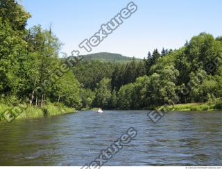 Photo Reference of Background Forest