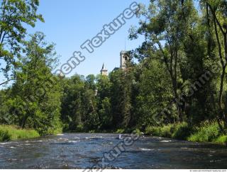 Photo Reference of Background Forest