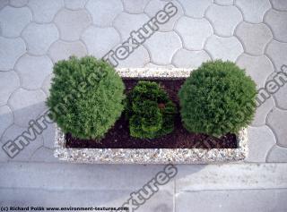 Photo Texture of Concrete Pot