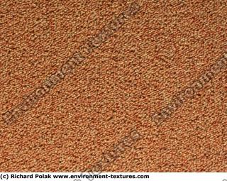 carpet