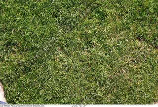 Photo Texture of Grass