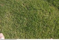 Photo Texture of Grass 