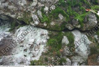 rock mossy