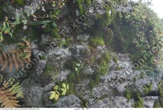 rock mossy